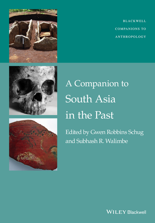 Обложка книги «A Companion to South Asia in the Past»