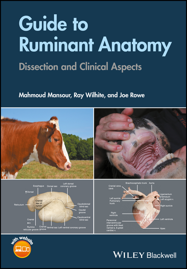 Обложка книги «Guide to Ruminant Anatomy. Dissection and Clinical Aspects»