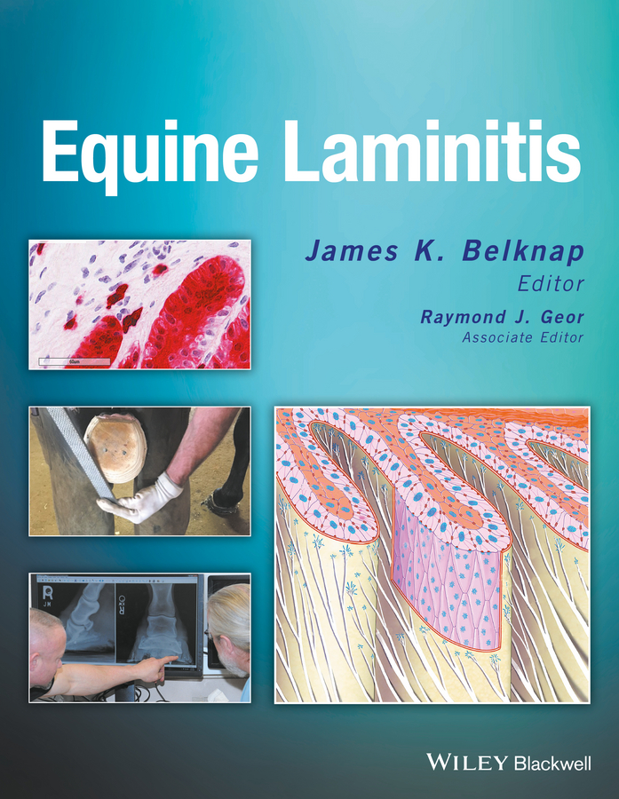 Обложка книги «Equine Laminitis»