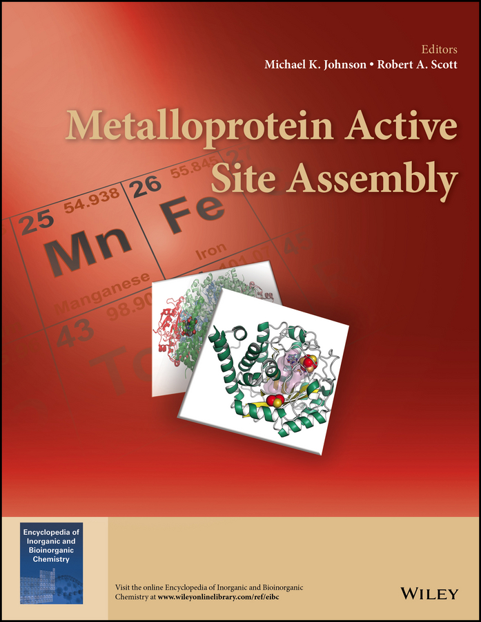 Обложка книги «Metalloprotein Active Site Assembly»