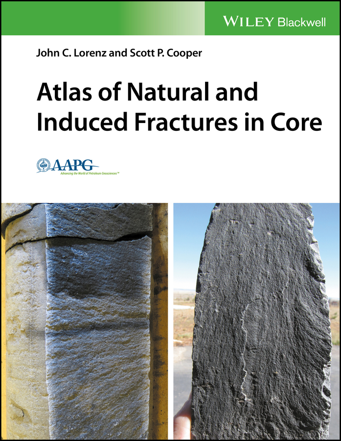 Обложка книги «Atlas of Natural and Induced Fractures in Core»