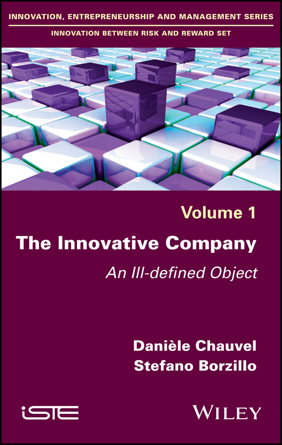 Обложка книги «The Innovative Company. An Ill-defined Object»