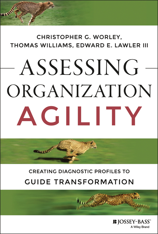 Обложка книги «Assessing Organization Agility. Creating Diagnostic Profiles to Guide Transformation»