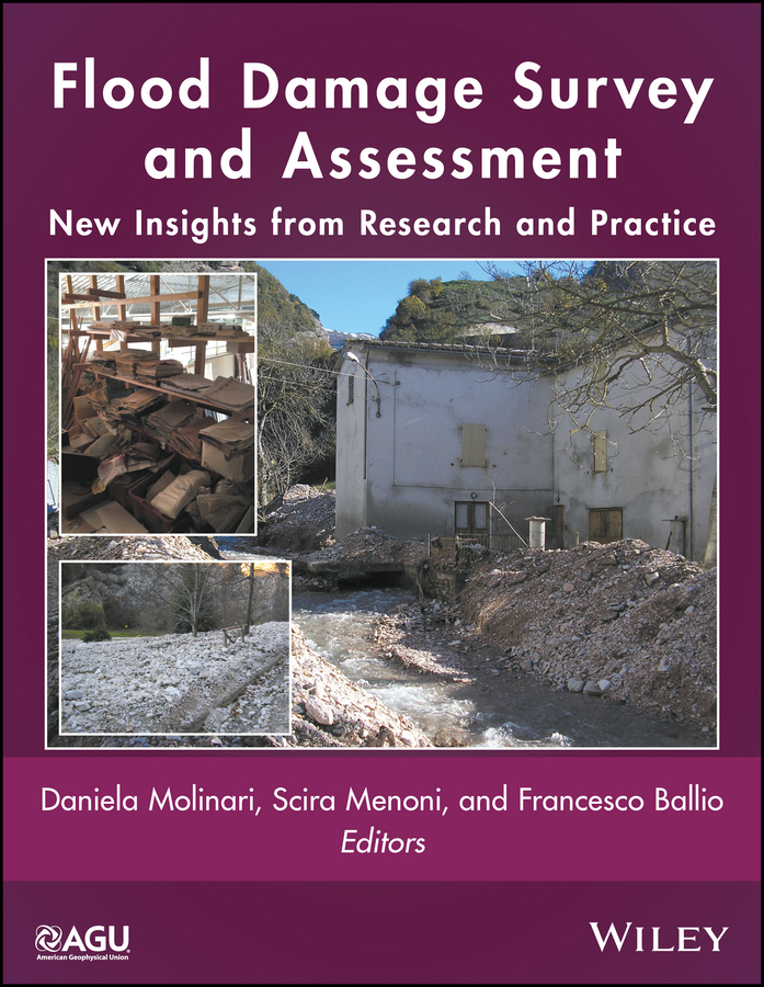 Обложка книги «Flood Damage Survey and Assessment. New Insights from Research and Practice»