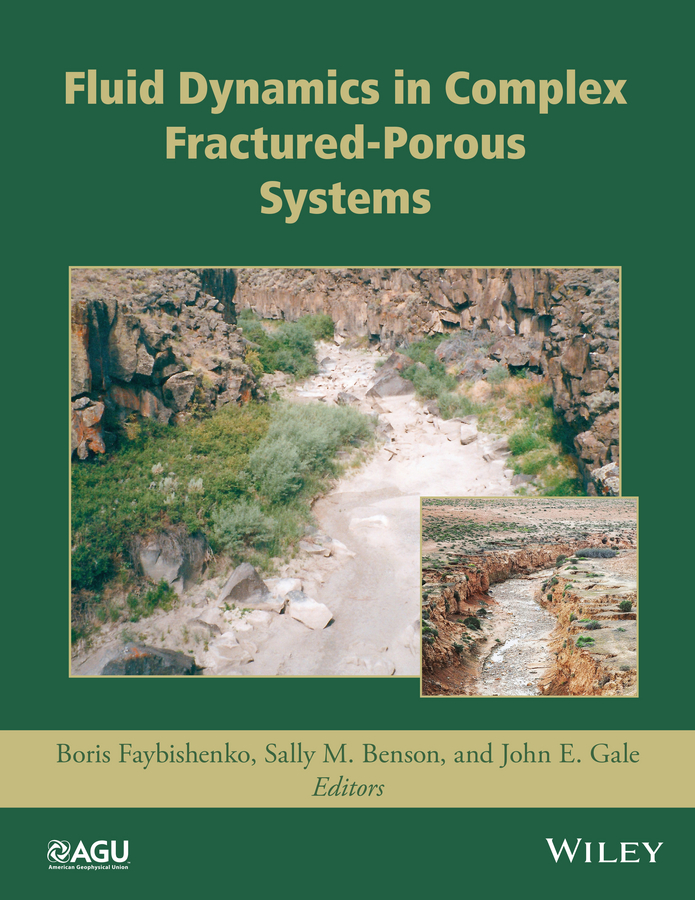 Обложка книги «Fluid Dynamics in Complex Fractured-Porous Systems»