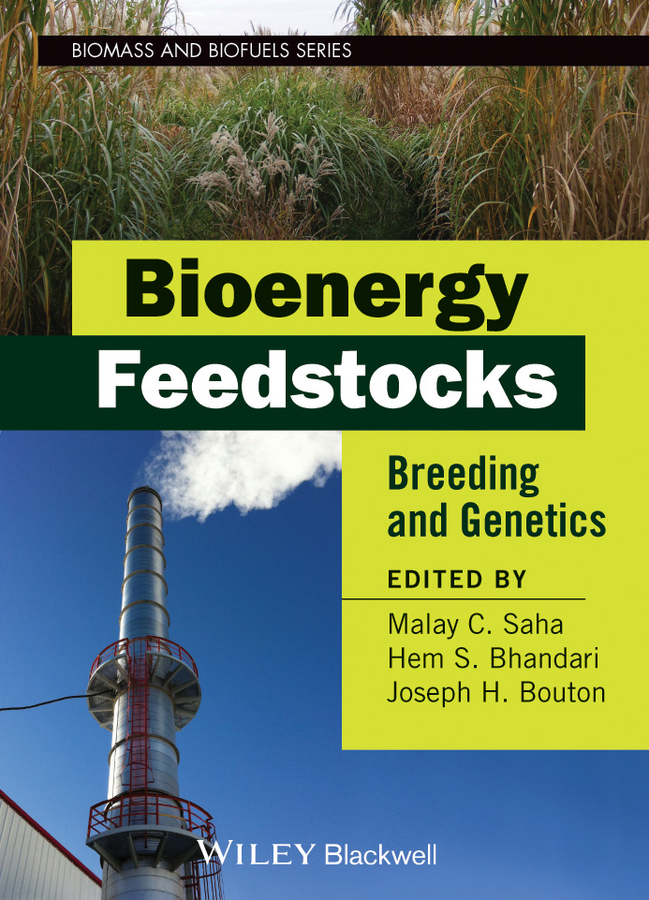 Обложка книги «Bioenergy Feedstocks. Breeding and Genetics»