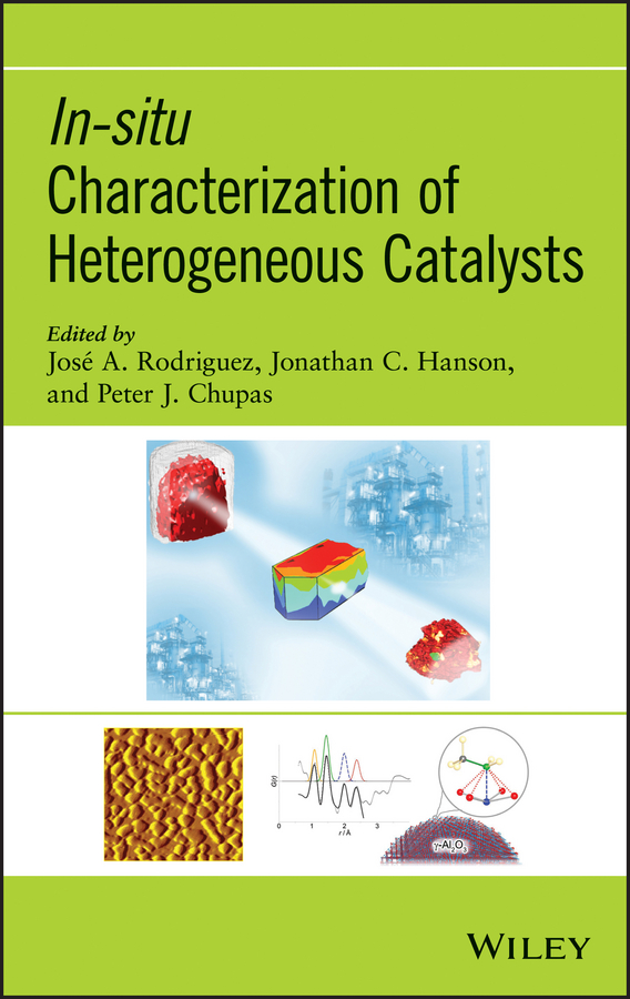 Обложка книги «In-situ Characterization of Heterogeneous Catalysts»