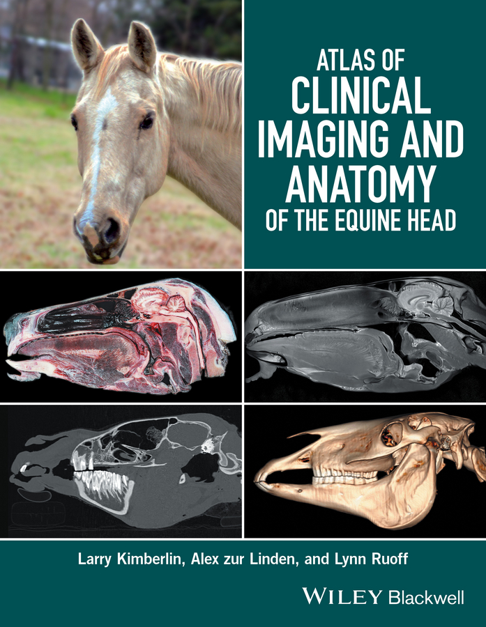 Обложка книги «Atlas of Clinical Imaging and Anatomy of the Equine Head»