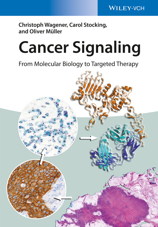 Обложка книги «Cancer Signaling, Enhanced Edition. From Molecular Biology to Targeted Therapy»