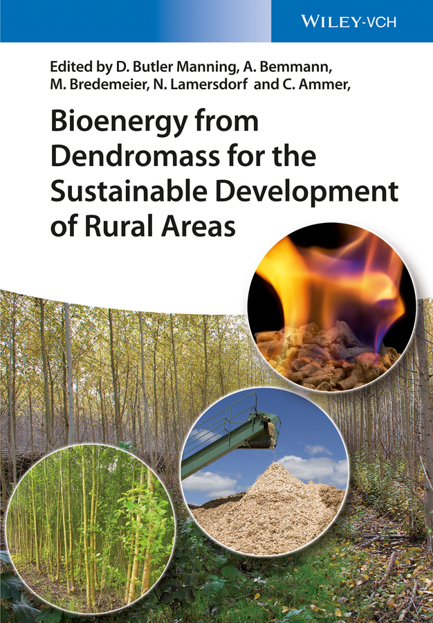 Обложка книги «Bioenergy from Dendromass for the Sustainable Development of Rural Areas»