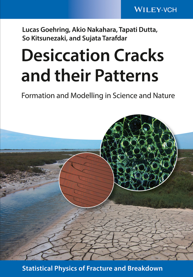 Обложка книги «Desiccation Cracks and their Patterns. Formation and Modelling in Science and Nature»