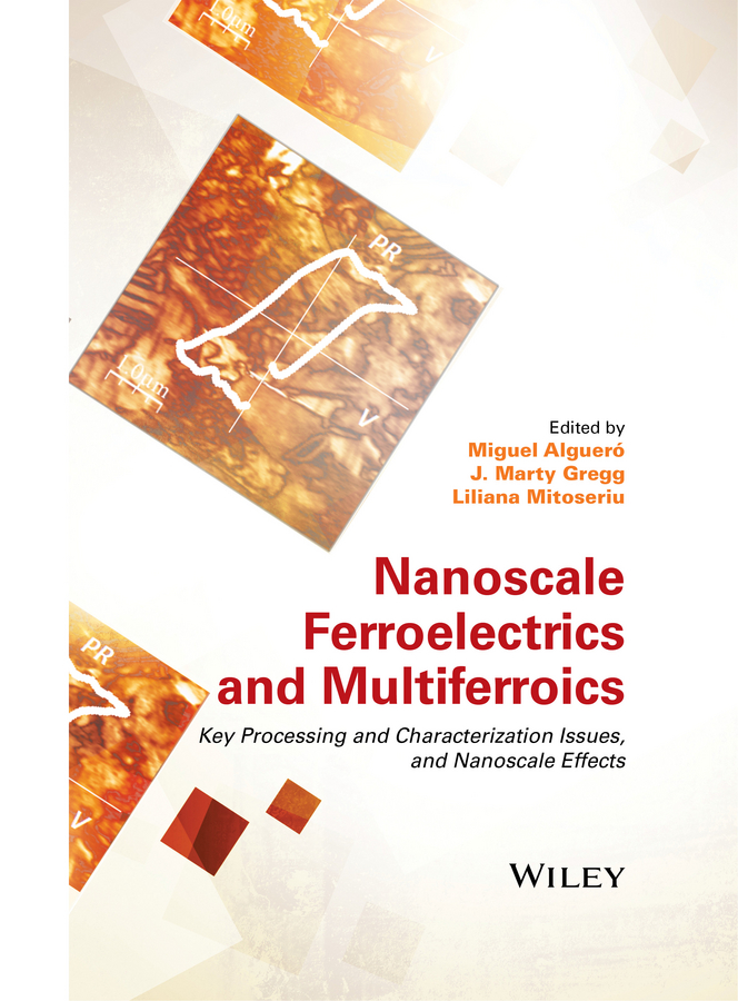 Обложка книги «Nanoscale Ferroelectrics and Multiferroics. Key Processing and Characterization Issues, and Nanoscale Effects, 2 Volumes»