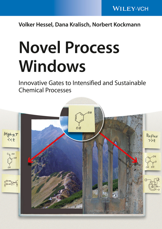 Обложка книги «Novel Process Windows. Innovative Gates to Intensified and Sustainable Chemical Processes»