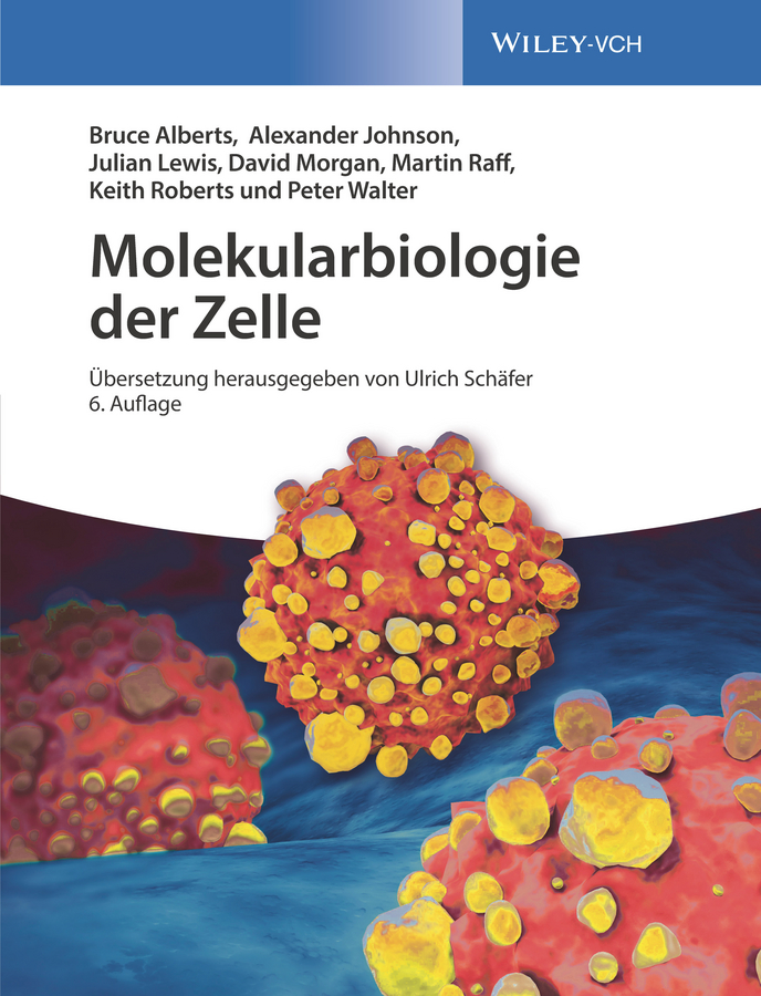 Обложка книги «Molekularbiologie der Zelle»