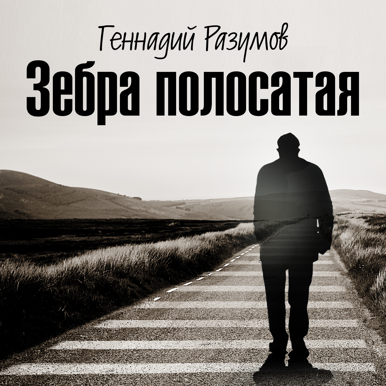 Обложка книги «Зебра полосатая. Том 1. На переломах судьбы»