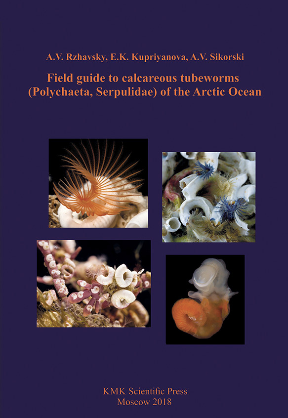 Обложка книги «Field guide to calcareous tubeworms (Polychaeta, Serpulidae) of the Arctic Ocean»
