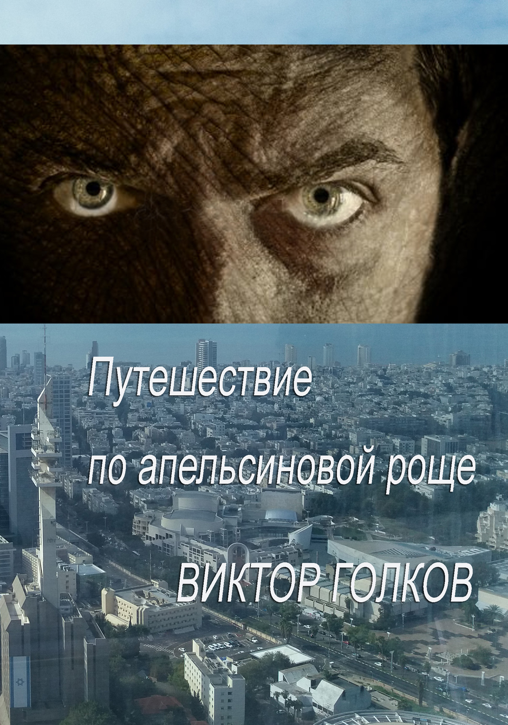 Обложка книги «Путешествие по апельсиновой роще»