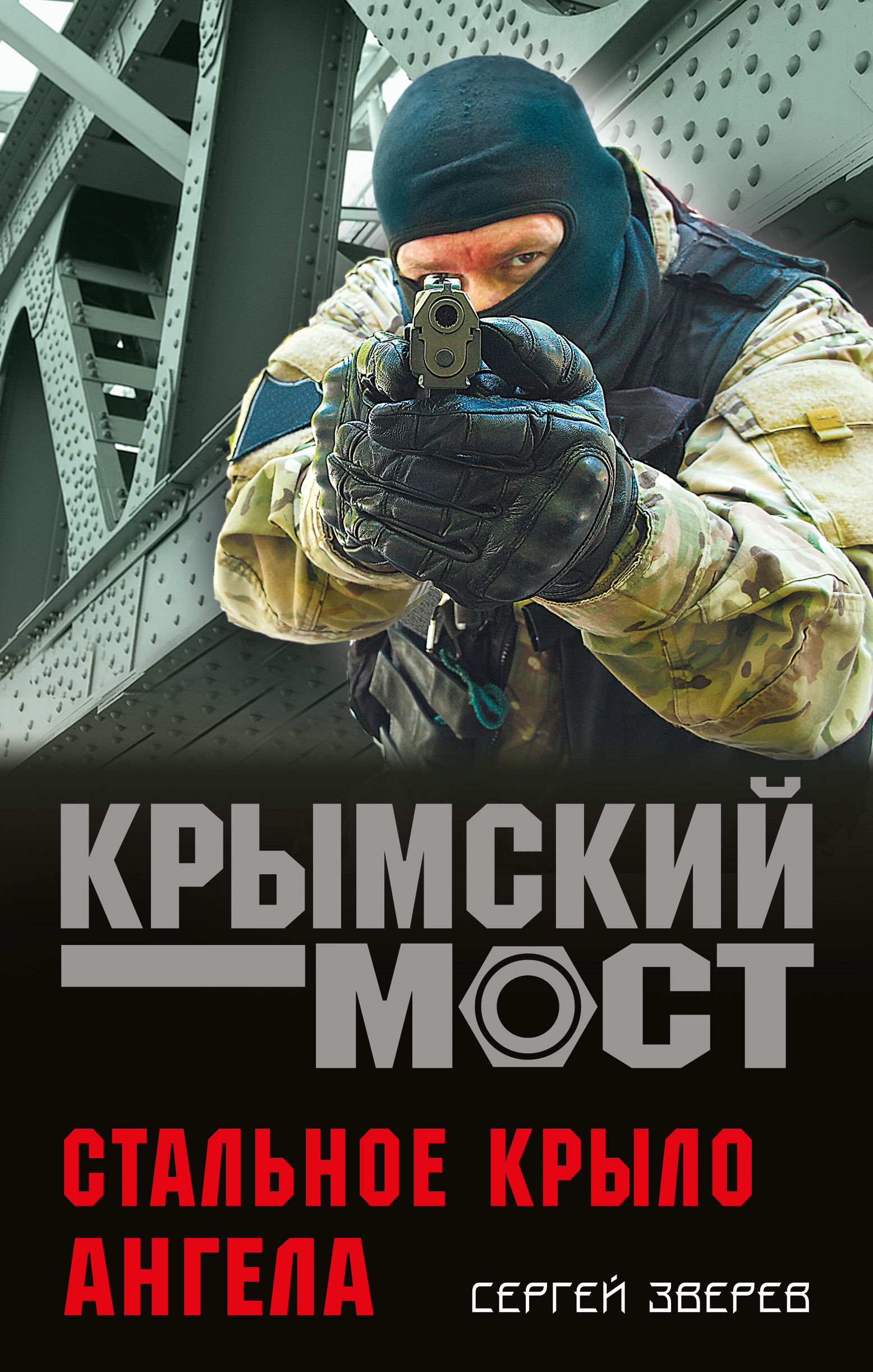 Обложка книги «Стальное крыло ангела»