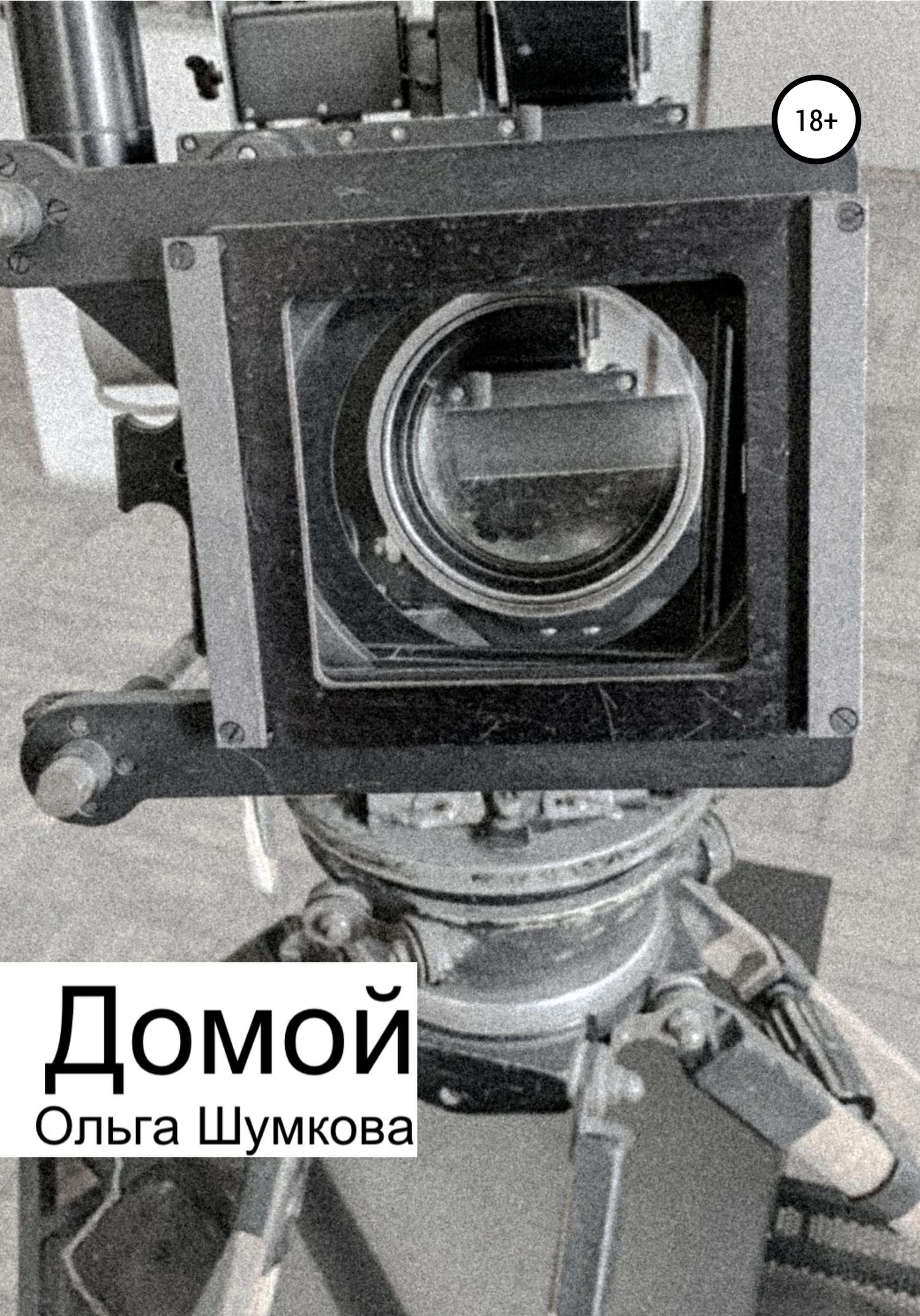 Обложка книги «Домой»