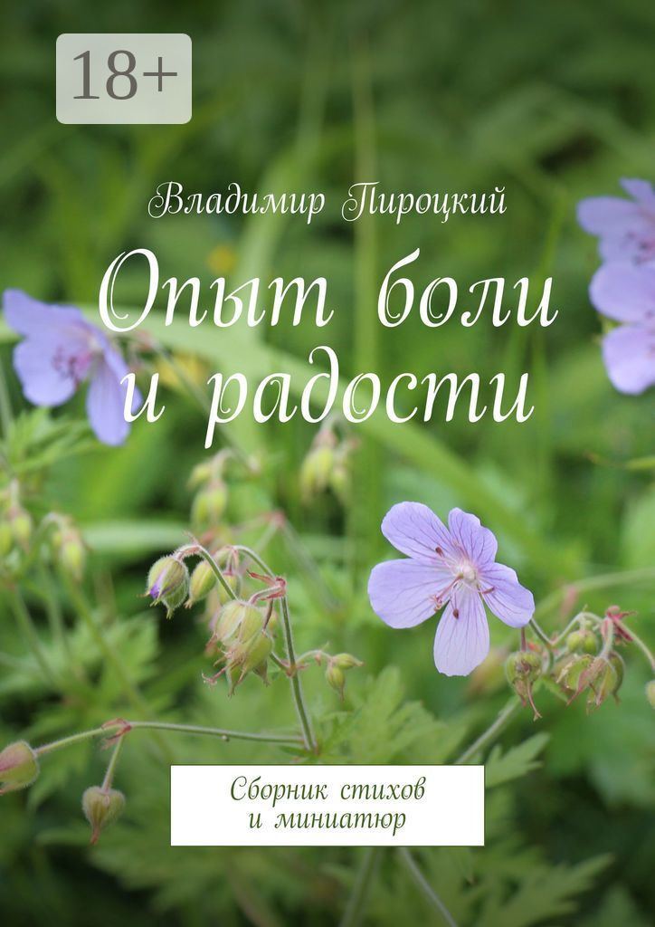 Обложка книги «Опыт боли и радости. Сборник стихов и миниатюр»
