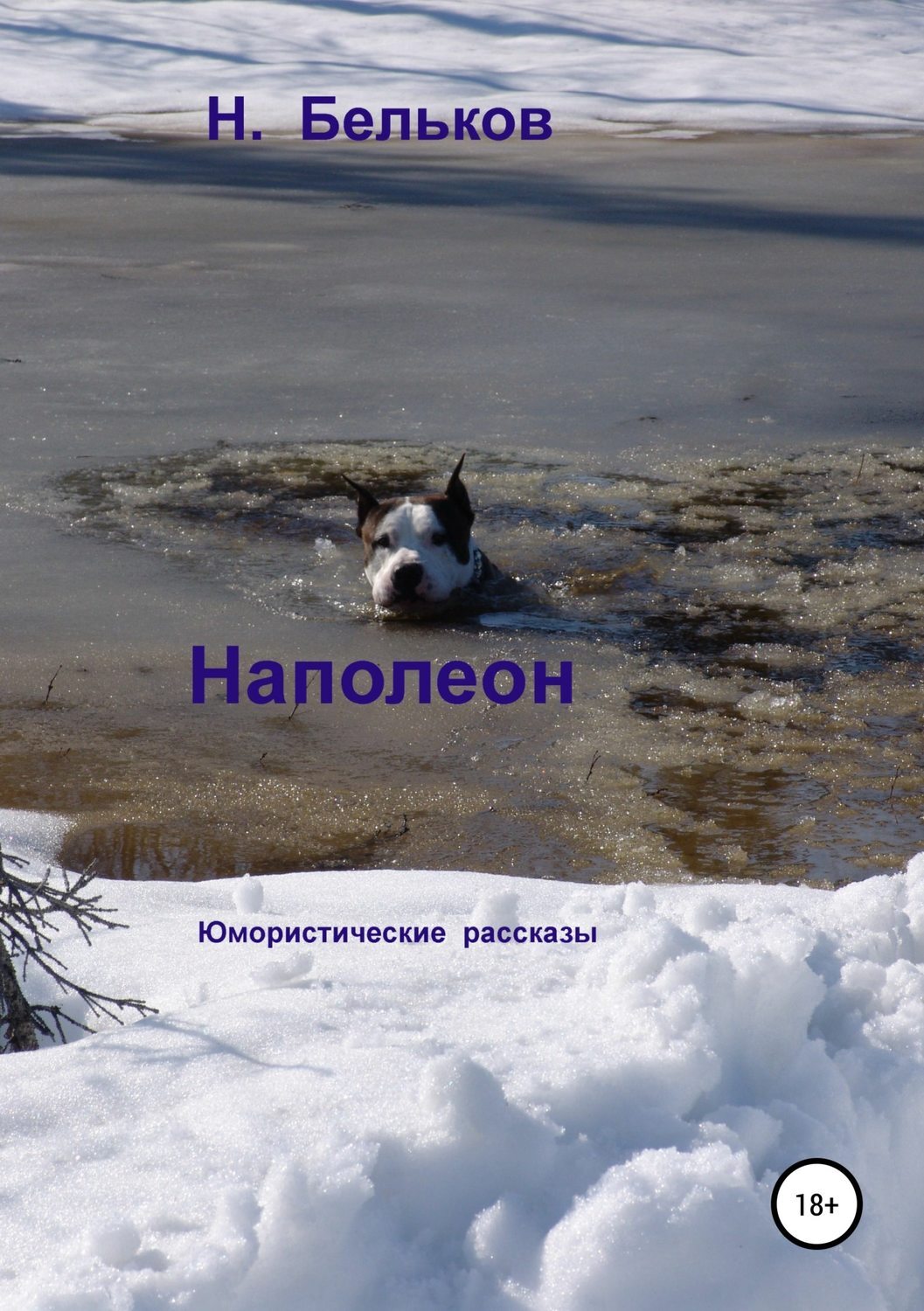 Обложка книги «Наполеон. Сборник рассказов»