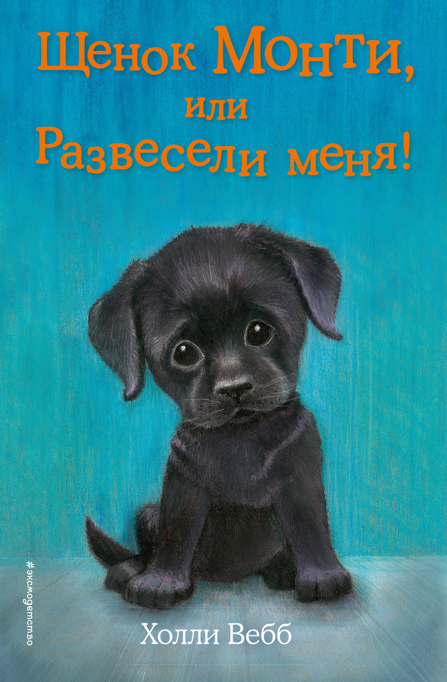 Обложка книги «Щенок Монти, или Развесели меня!»