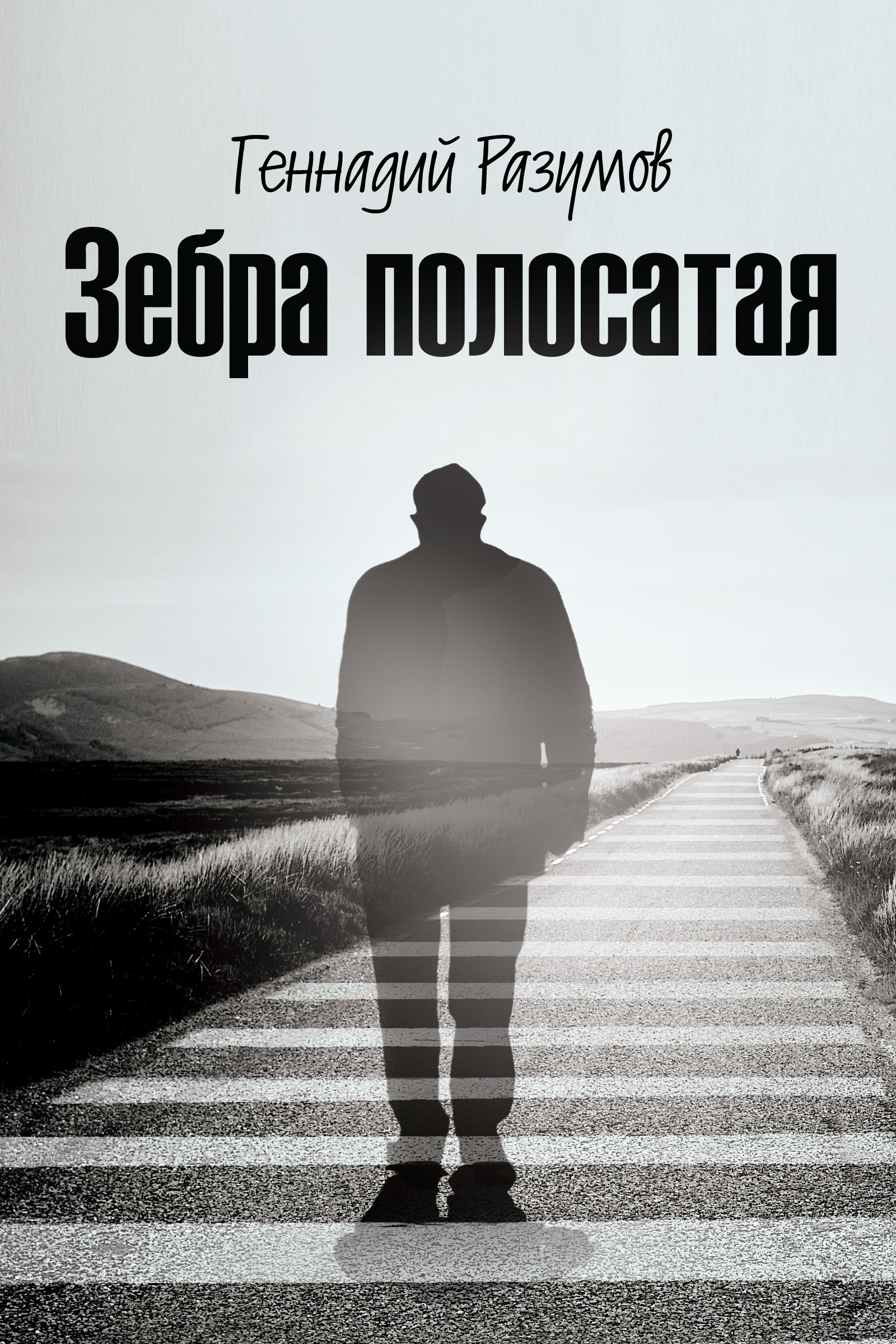 Обложка книги «Зебра полосатая. На переломах судьбы»