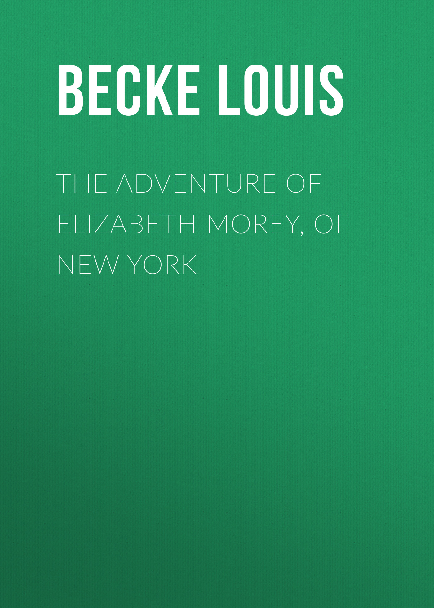 Обложка книги «The Adventure Of Elizabeth Morey, of New York»