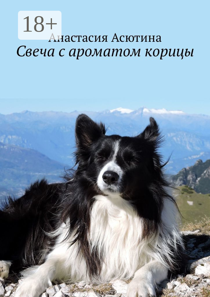 Обложка книги «Свеча с ароматом корицы»