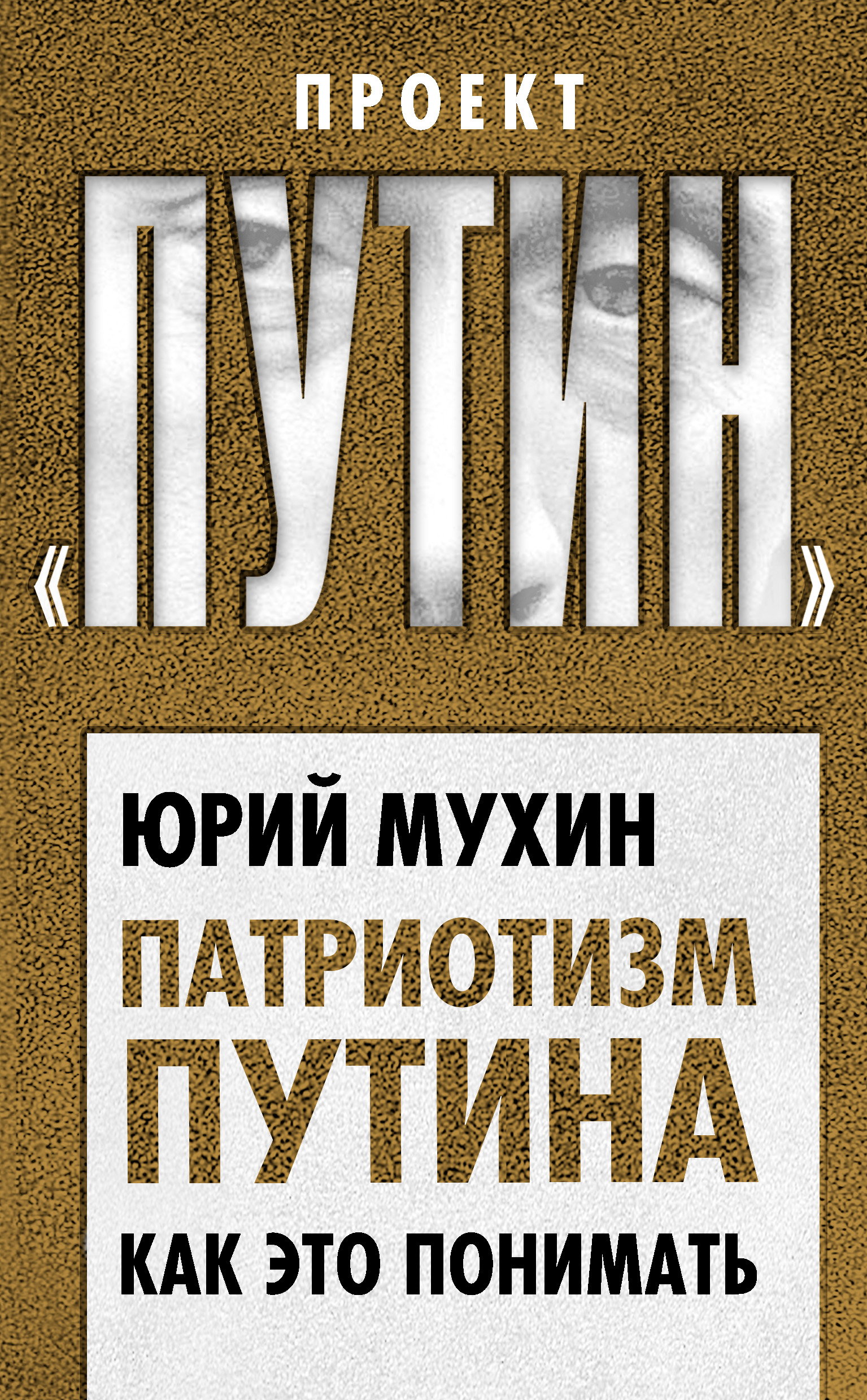 Обложка книги «Патриотизм Путина. Как это понимать»