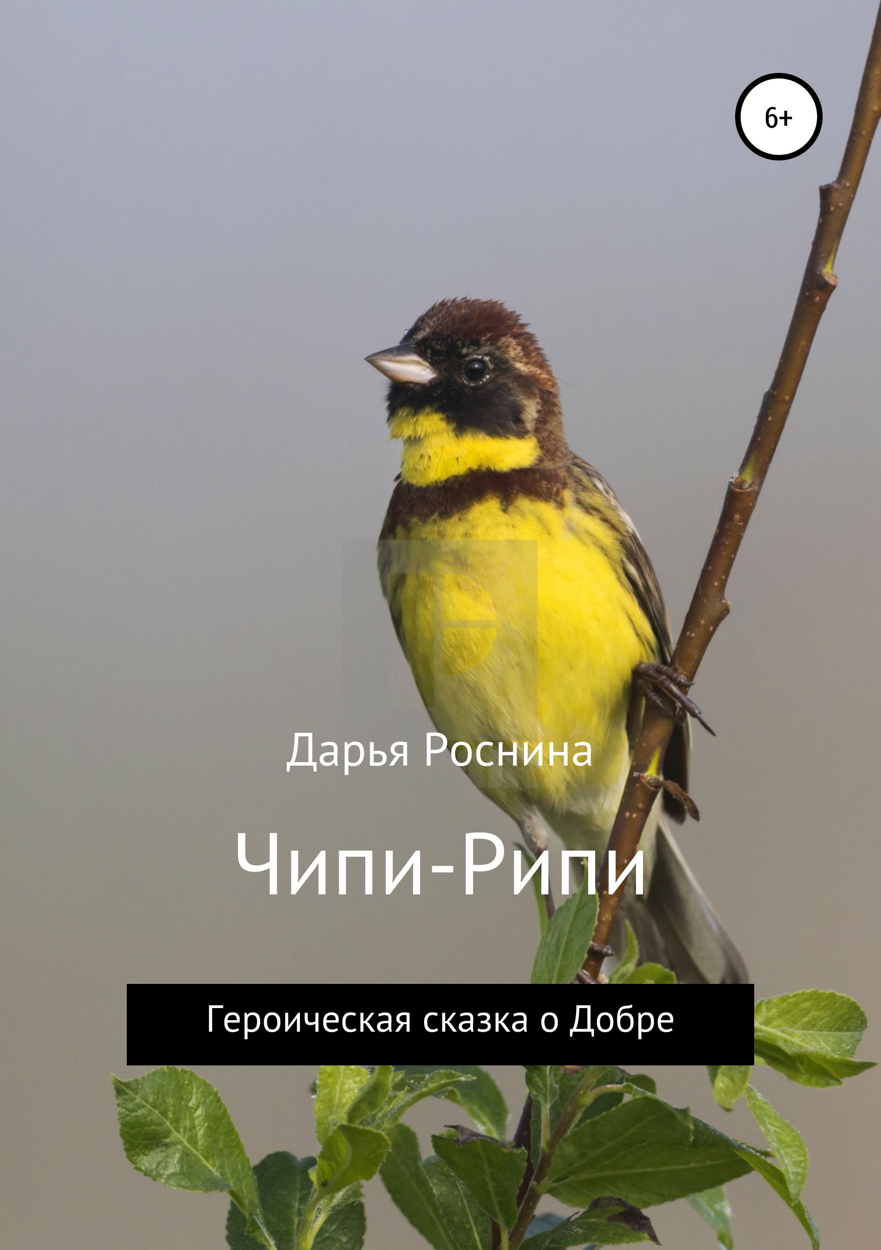 Обложка книги «Чипи-Рипи. Героическая сказка о Добре»