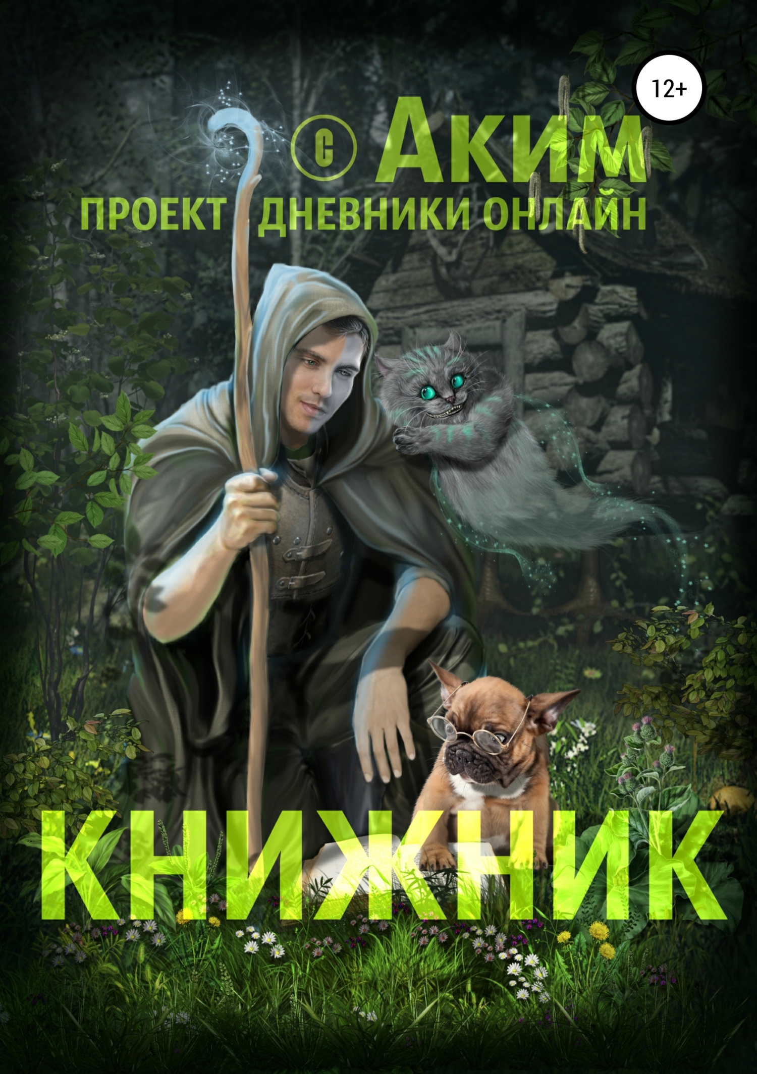 Обложка книги «Книжник»
