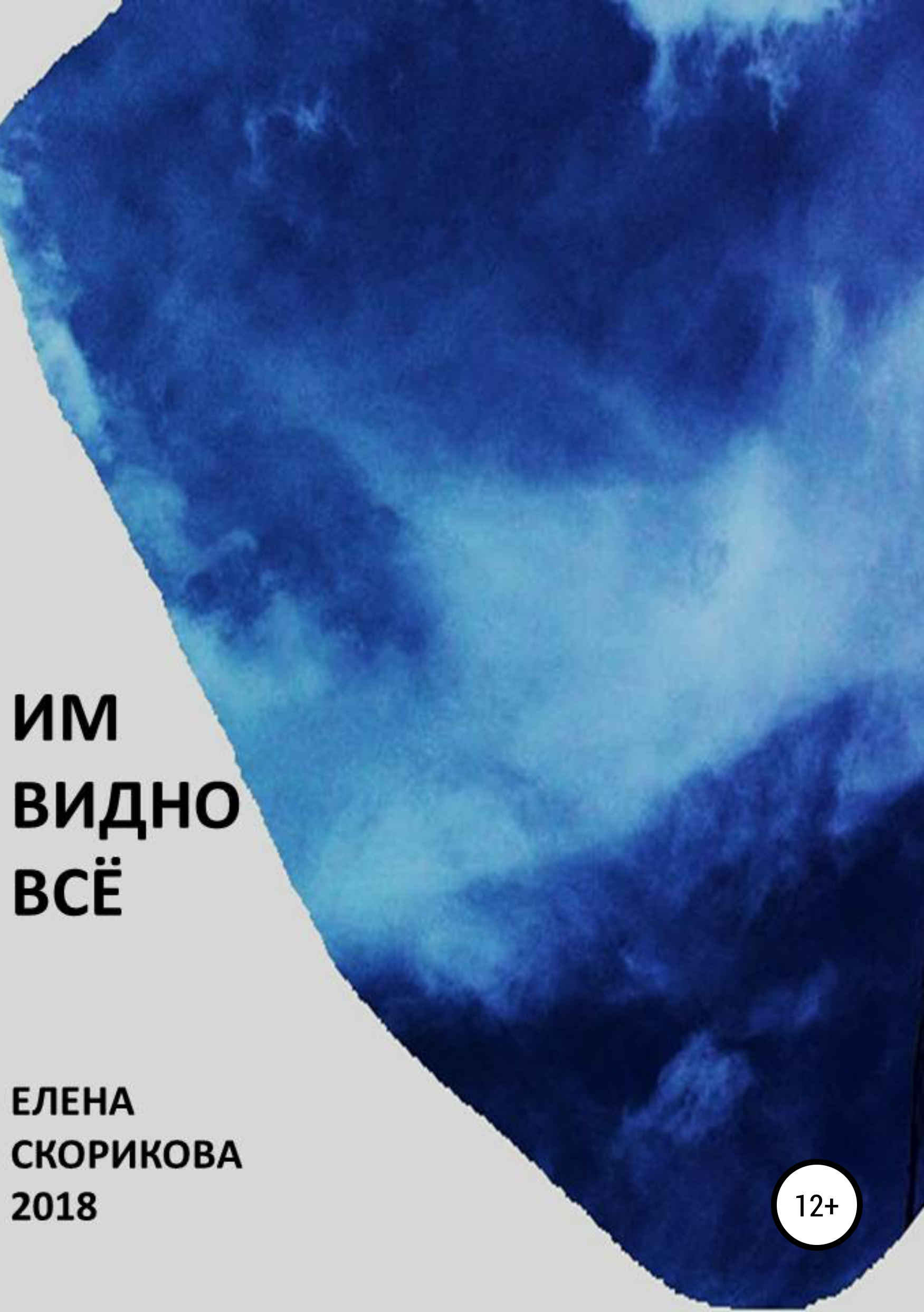 Обложка книги «Им видно всё»