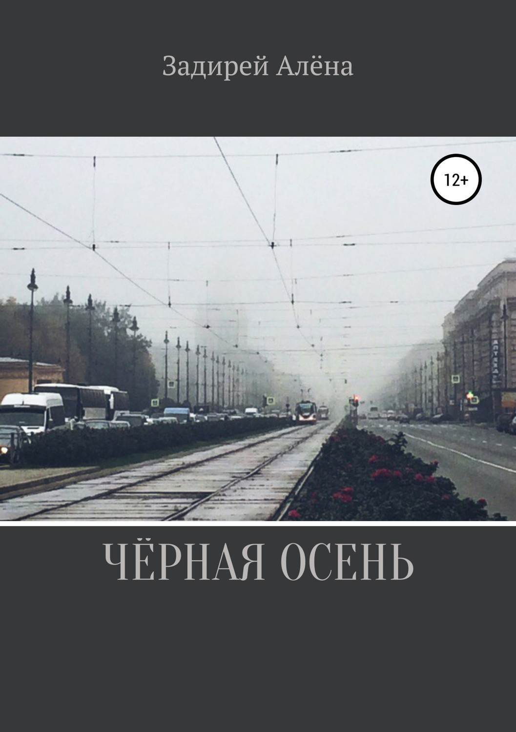 Обложка книги «Чёрная осень»