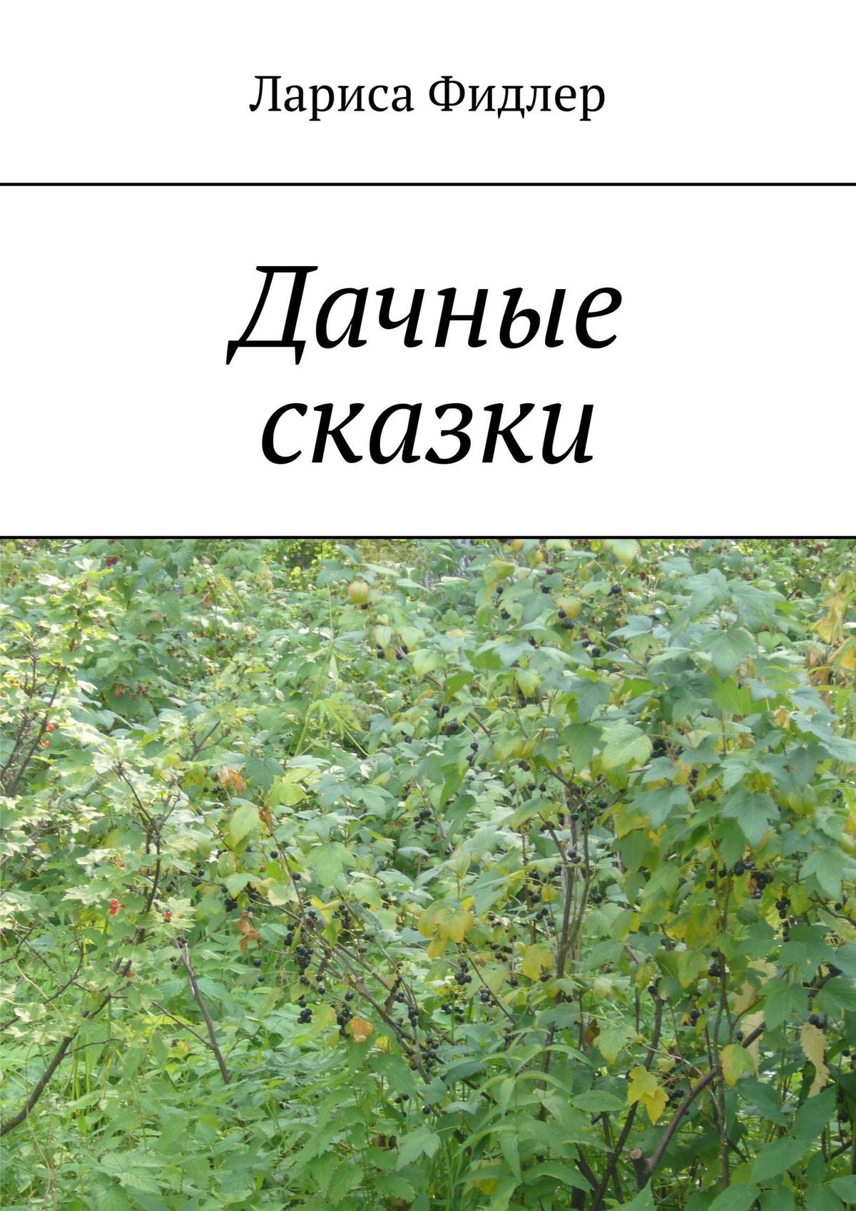 Обложка книги «Дачные сказки»