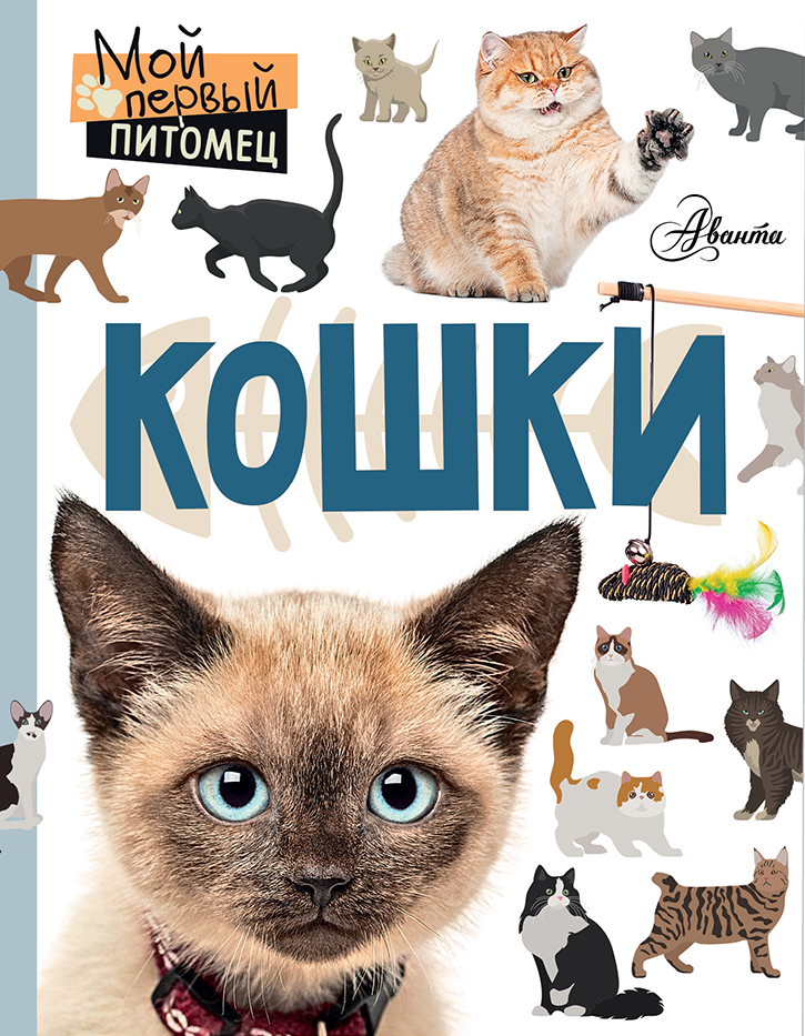 Обложка книги «Кошки»