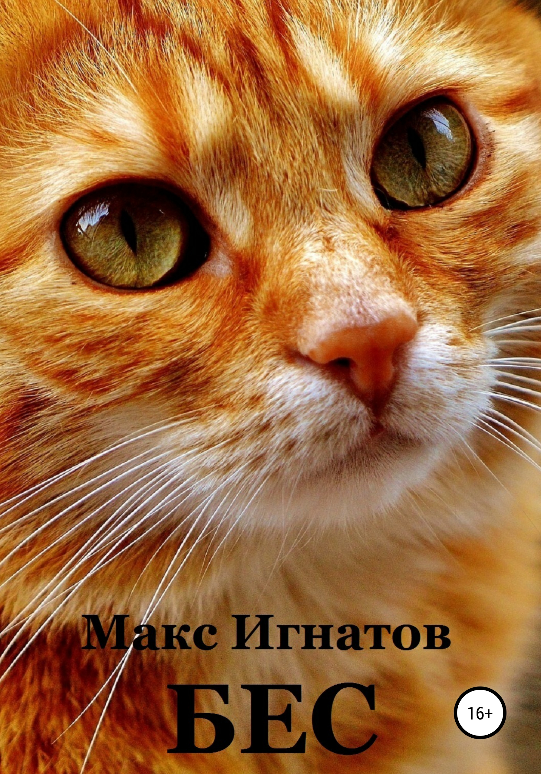 Обложка книги «Бес»