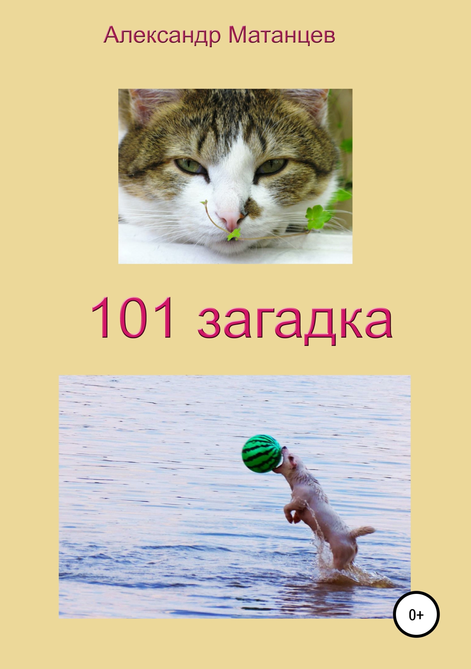 Обложка книги «101 загадка»