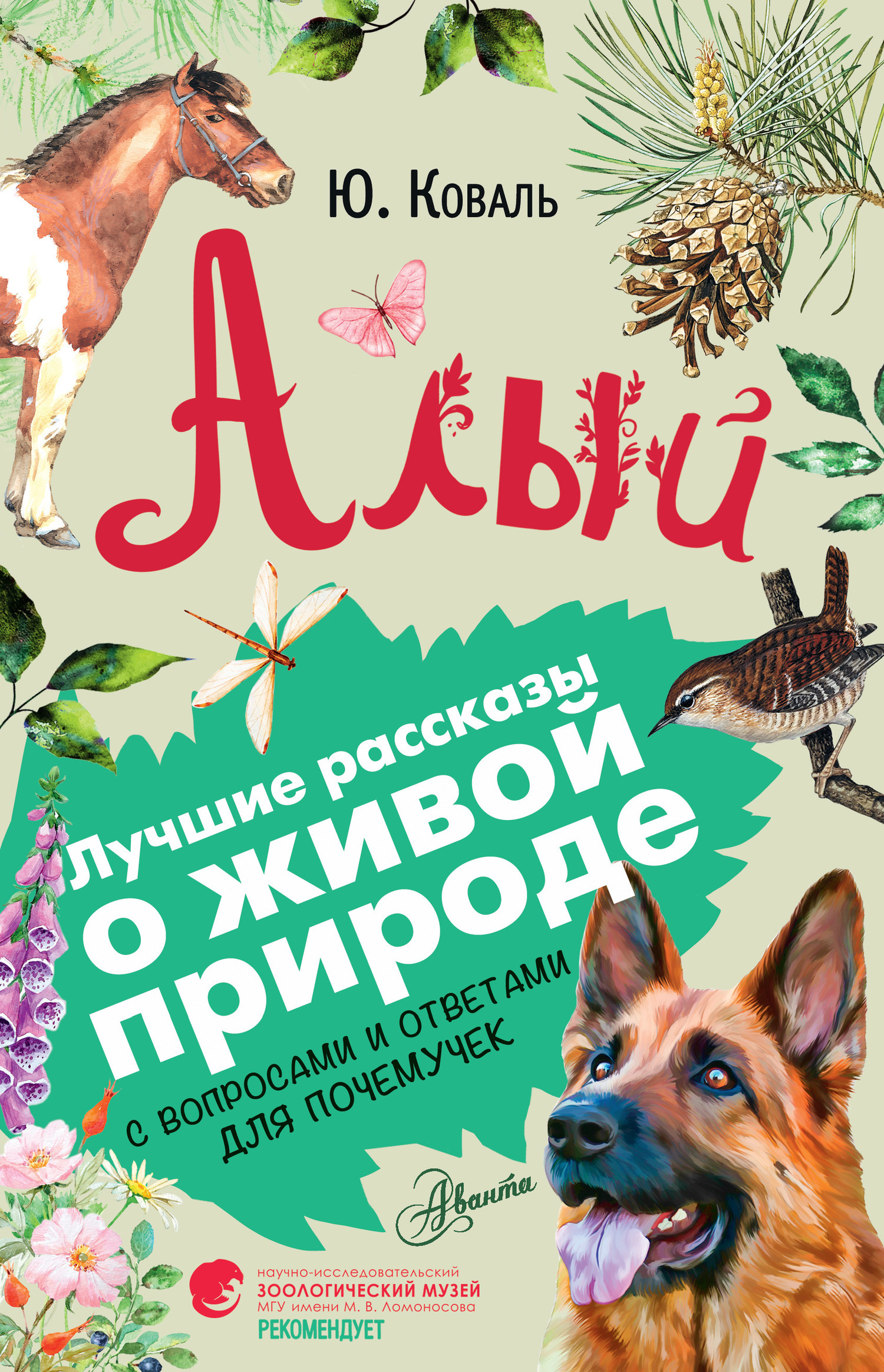 Обложка книги «Алый. С вопросами и ответами для почемучек»