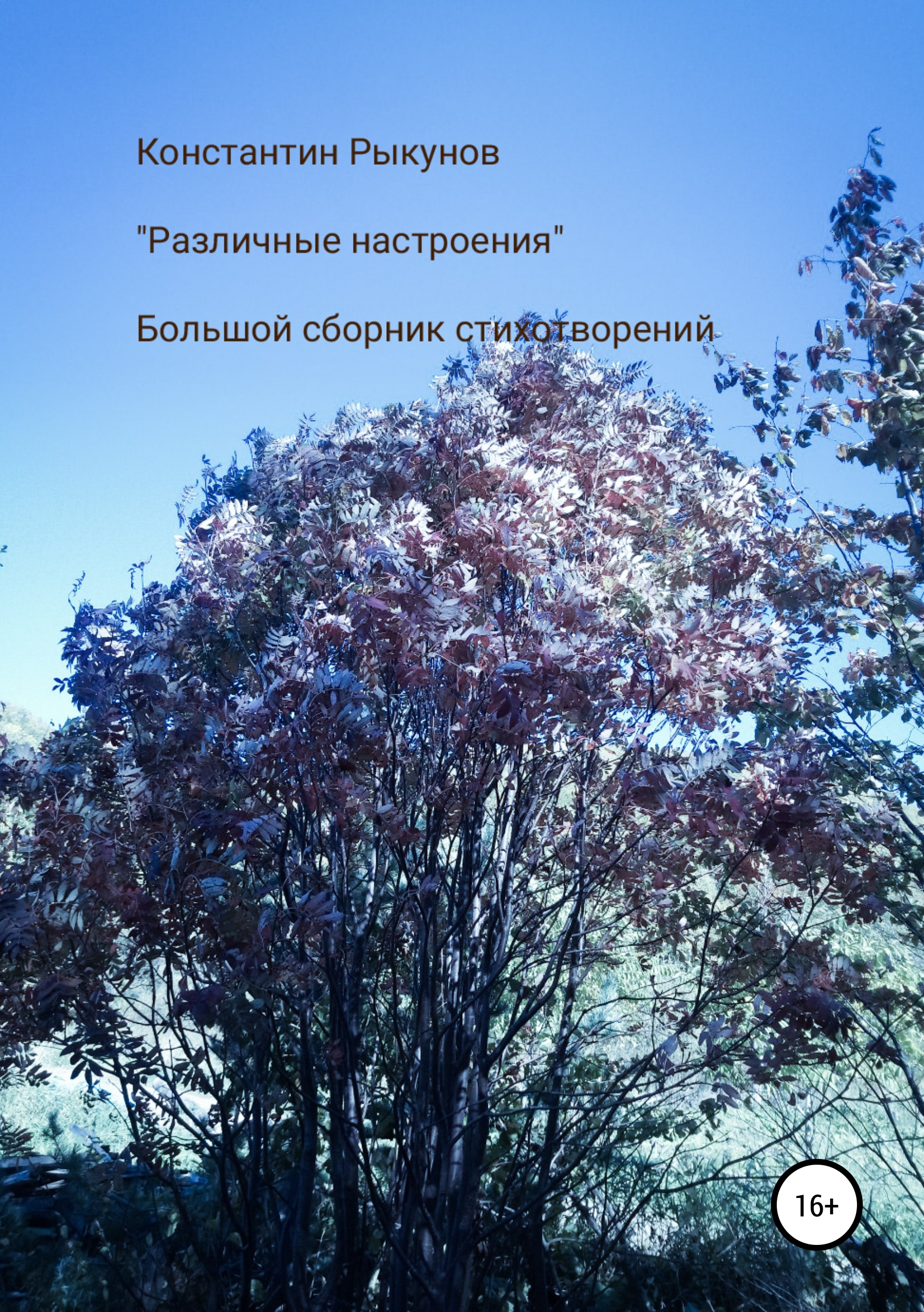 Обложка книги «Различные настроения»