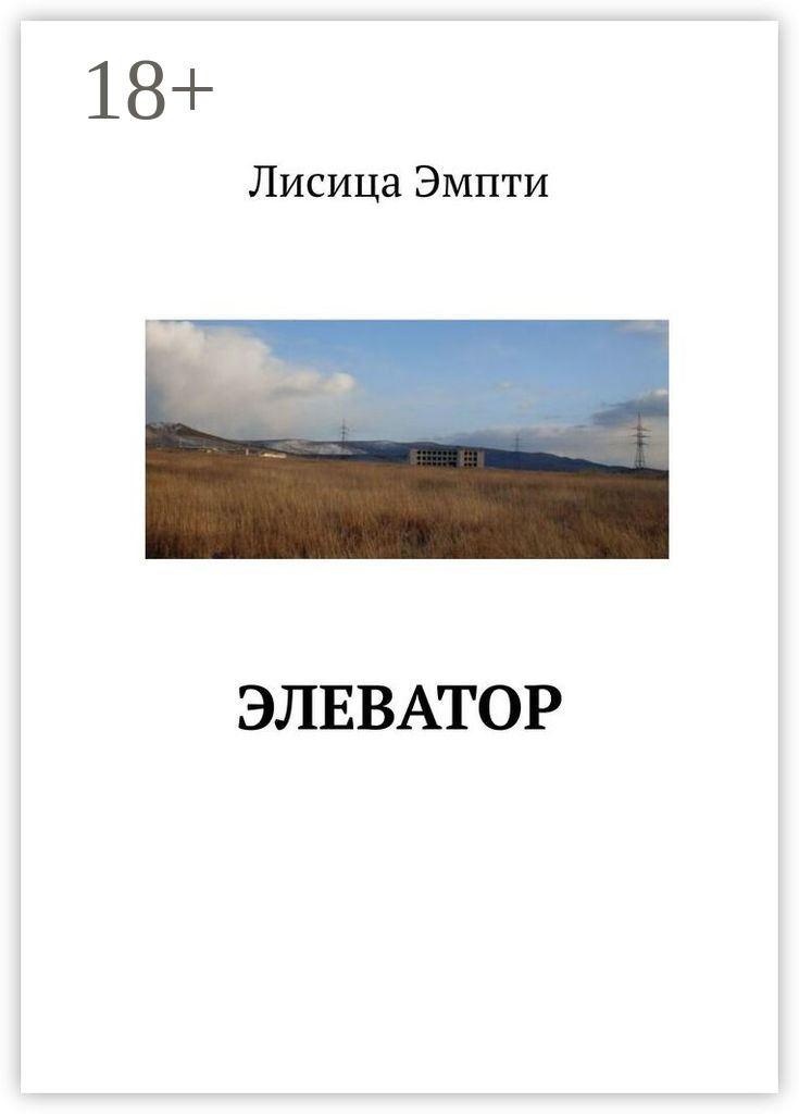 Обложка книги «Элеватор»