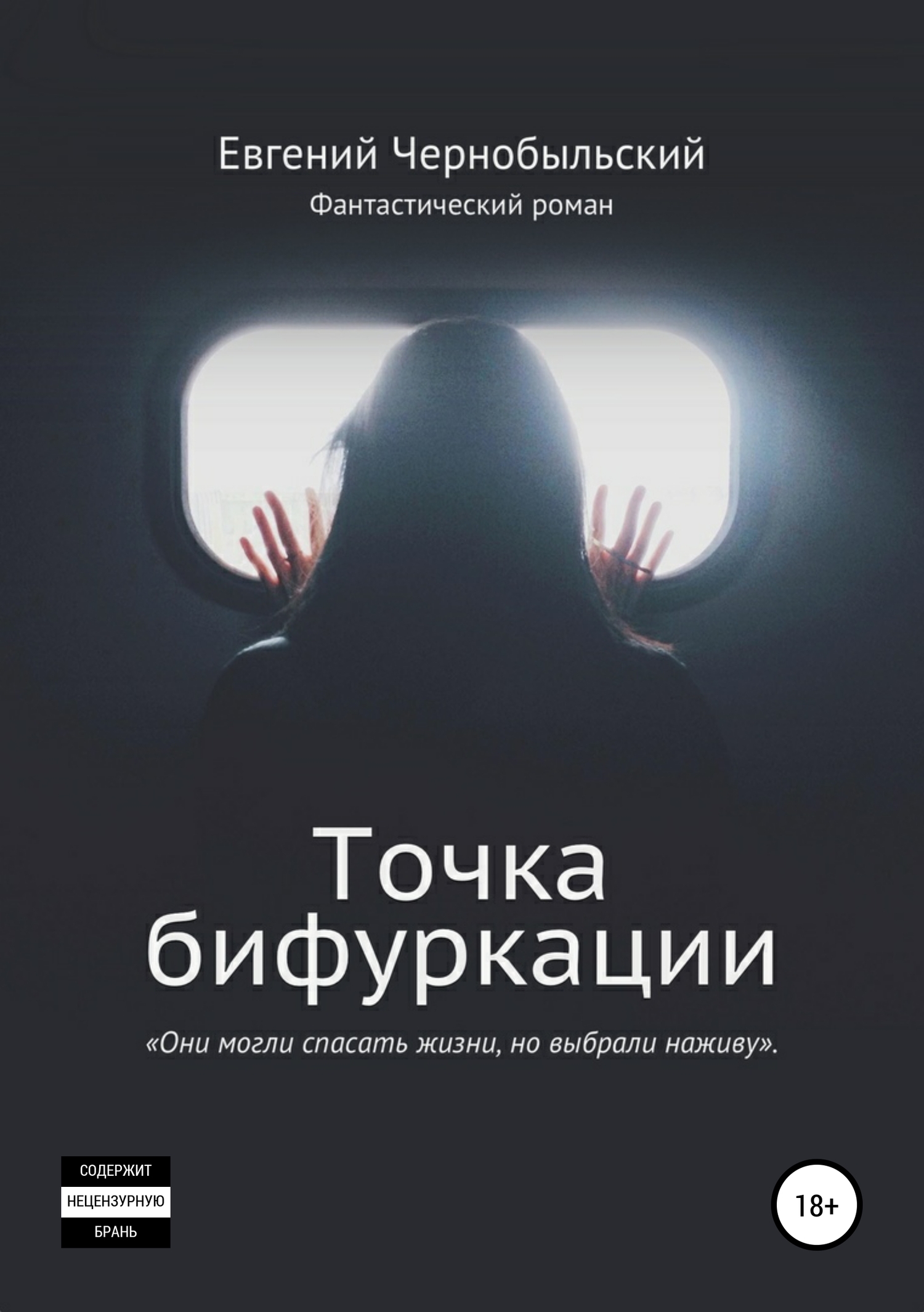 Обложка книги «Точка бифуркации»