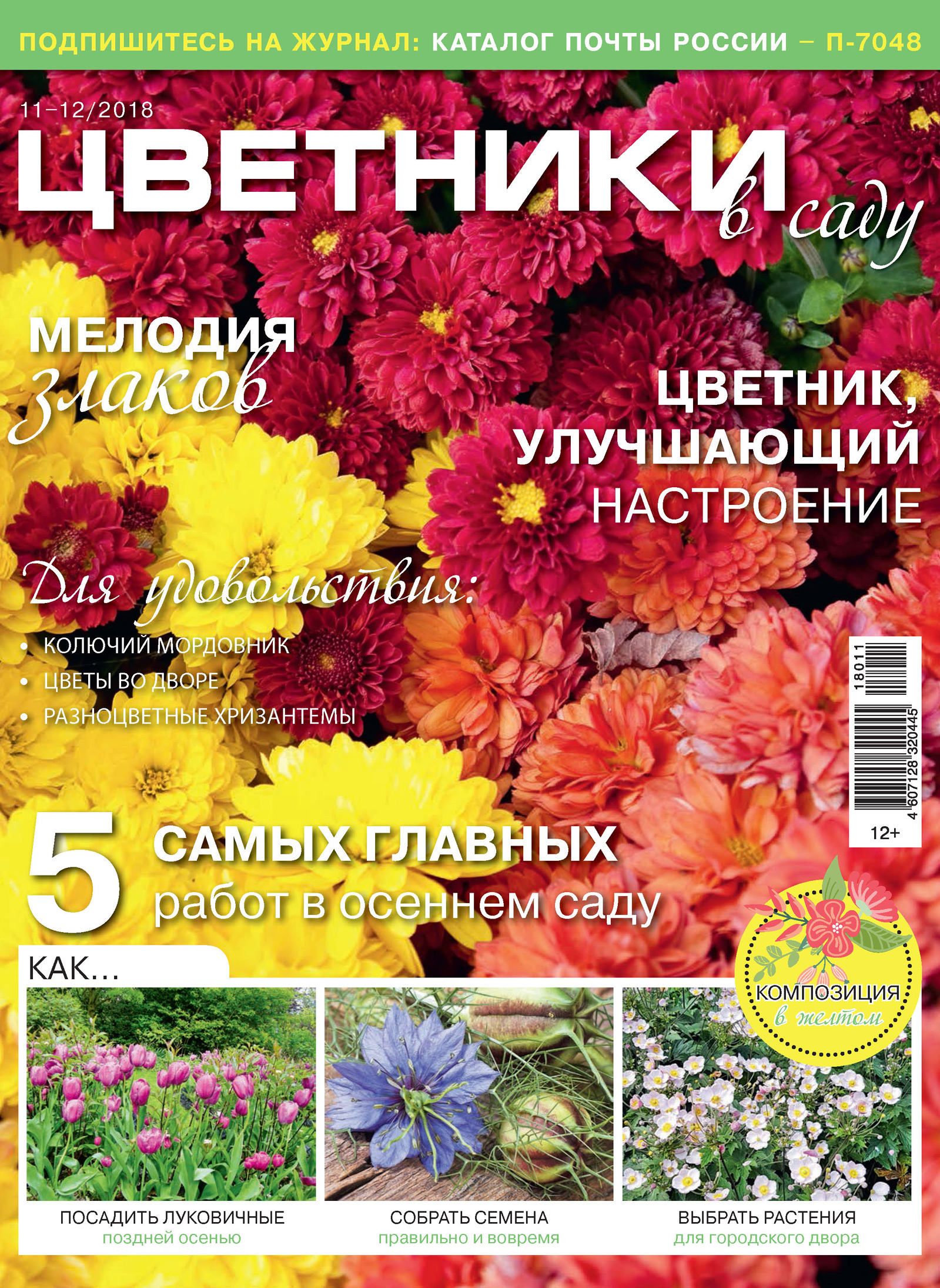 Обложка книги «Цветники в саду №11-12/2018»