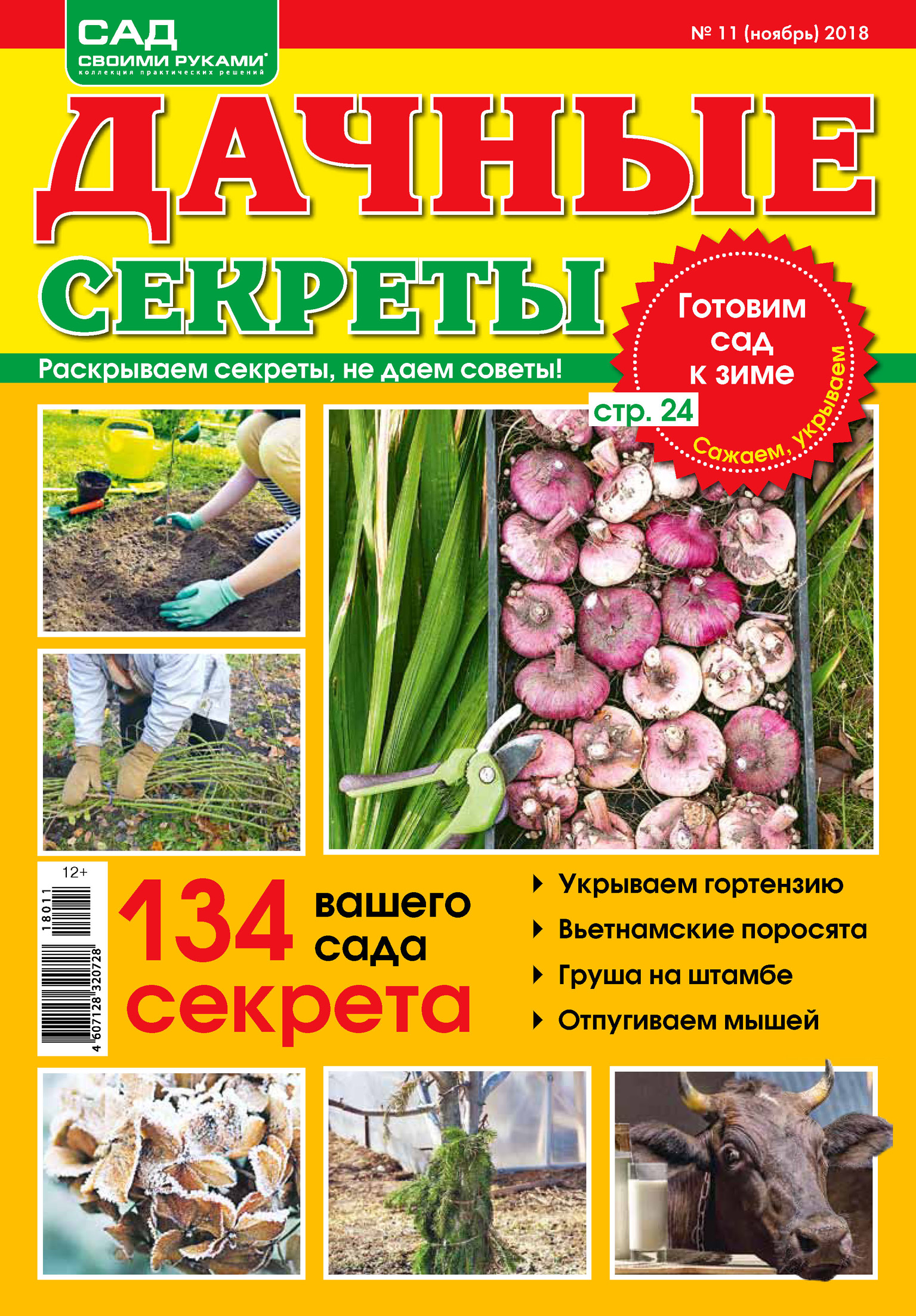 Обложка книги «Сад своими руками. Дачные секреты №11/2018»