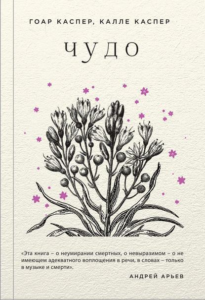 Обложка книги «Чудо»