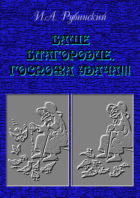 Обложка книги «Ваше благородие, госпожа удача!!!»