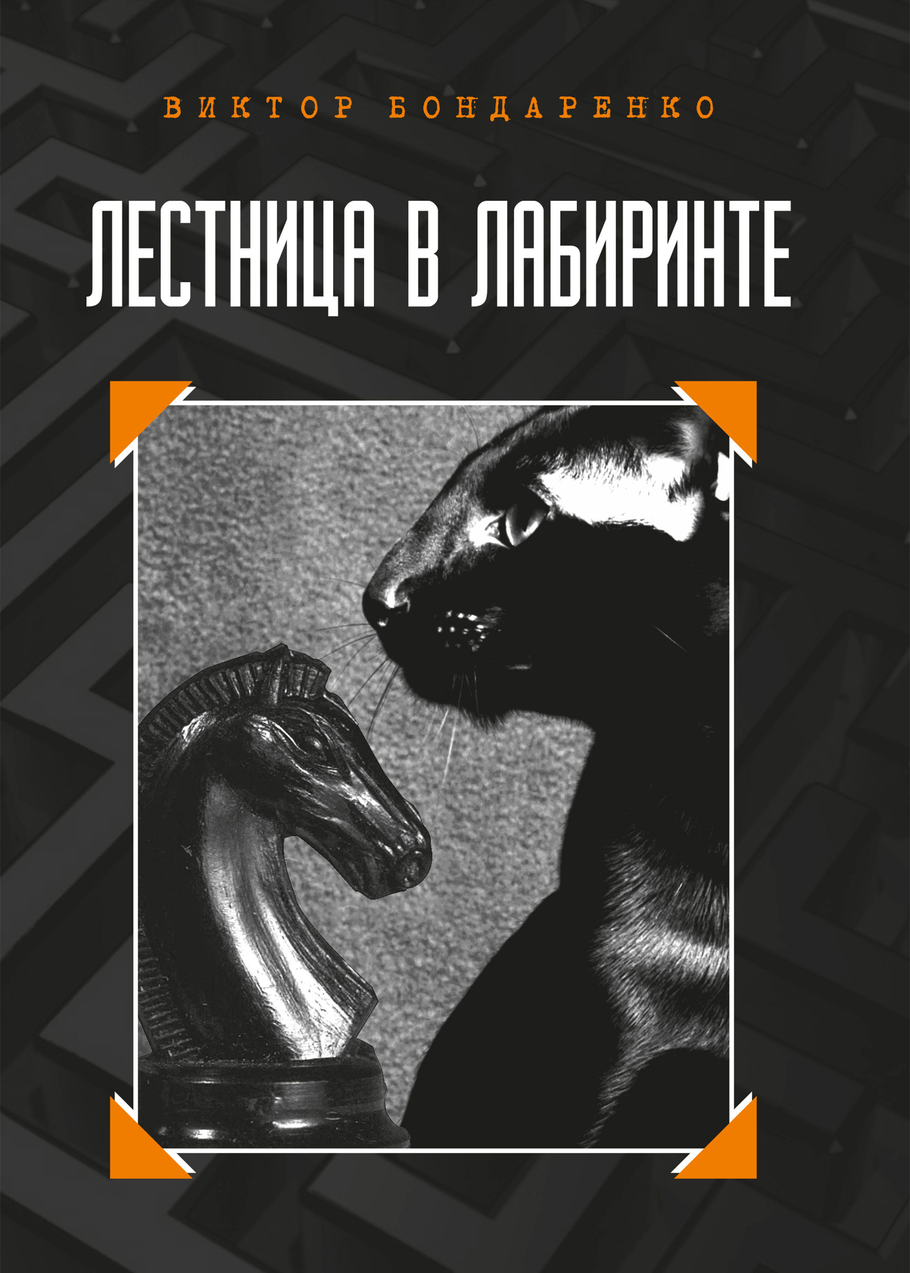 Обложка книги «Лестница в лабиринте»