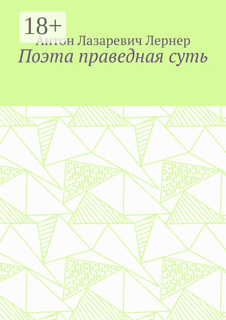 Обложка книги «Поэта праведная суть»