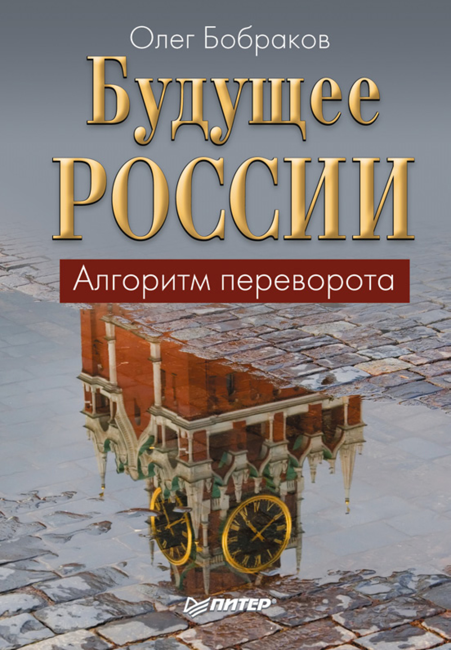 Обложка книги «Будущее России. Алгоритм переворота»