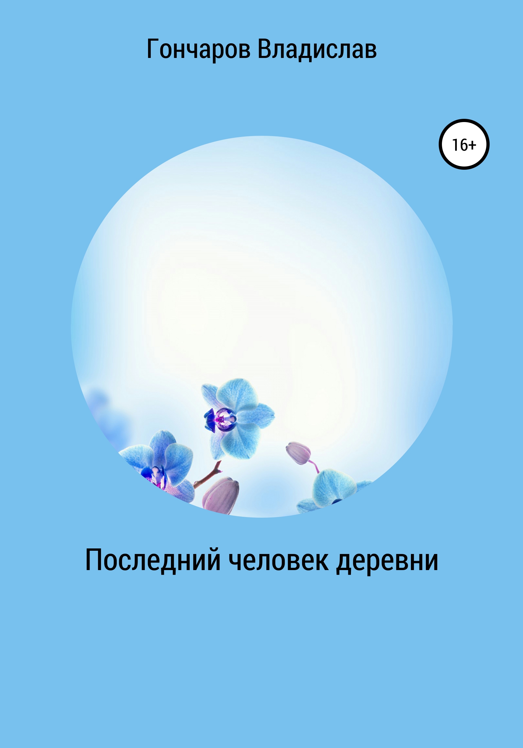 Обложка книги «Последний человек деревни»